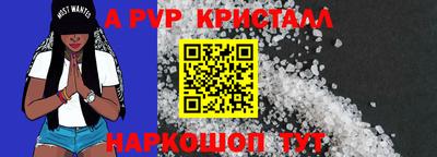 гашик Будённовск