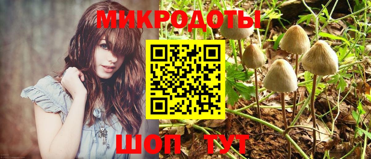 Галлюциногенные грибы ЛСД Кинешма