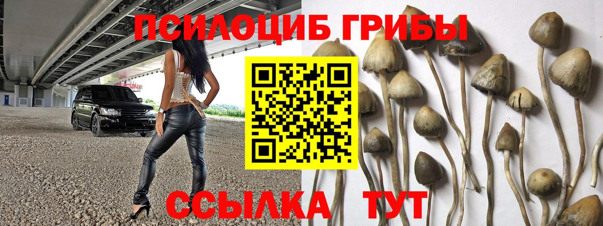 Галлюциногенные грибы Psilocybe  Галлюциногенные грибы GOLDEN TEACHER  Кинешма  Вход с VPN 